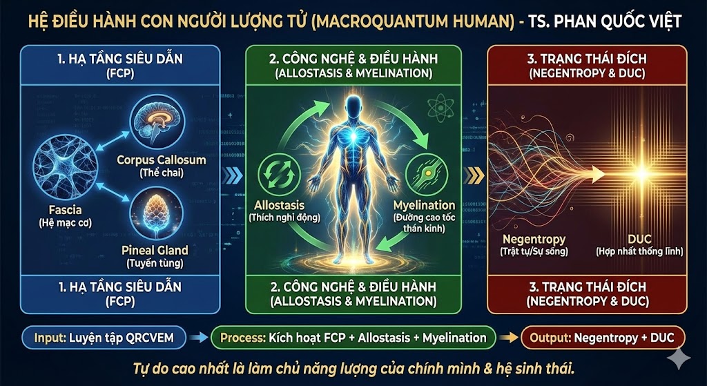 KỶ NGUYÊN CON NGƯỜI LƯỢNG TỬ: KIẾN TẠO NEGENTROPY QUA HẠ TẦNG SIÊU DẪN FCP VÀ HỆ ĐIỀU HÀNH ALLOSTASIS